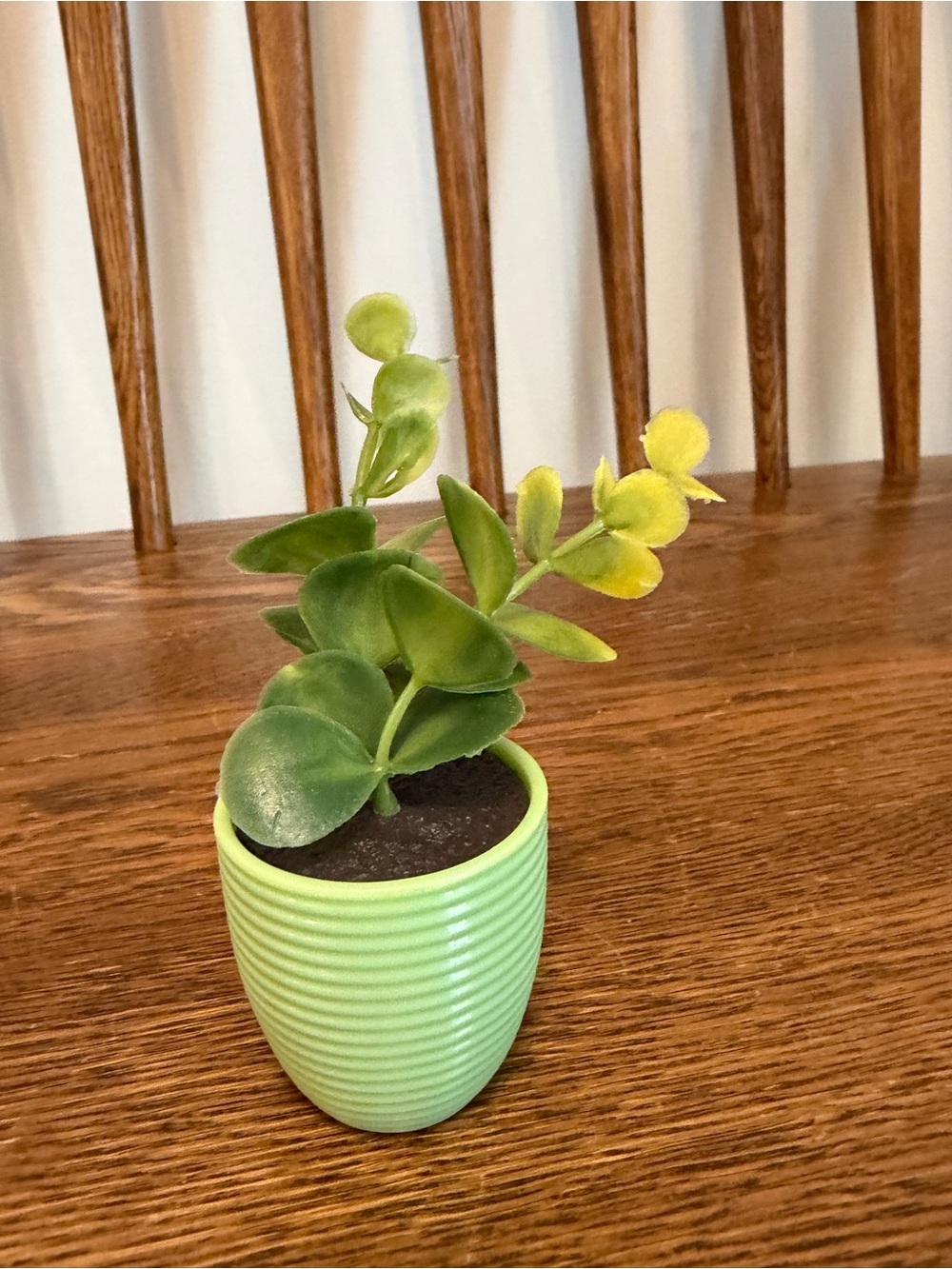 Our Generation 18" Doll Accessory Miniature Faux Potted Plant Green Pot